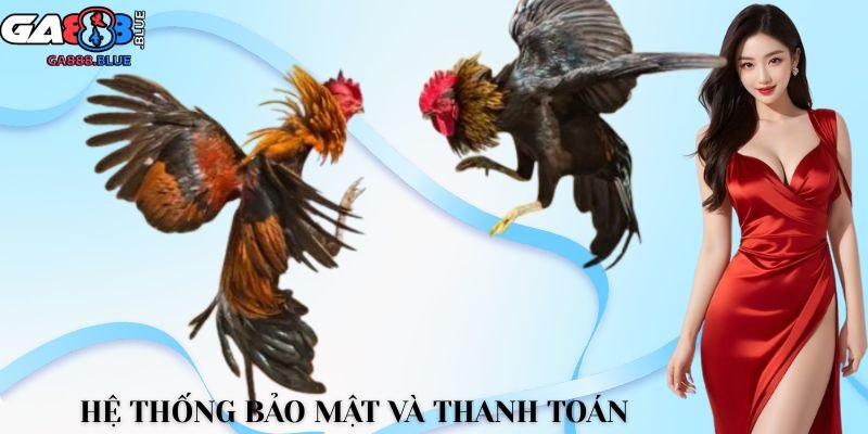 Hệ thống bảo mật và thanh toán