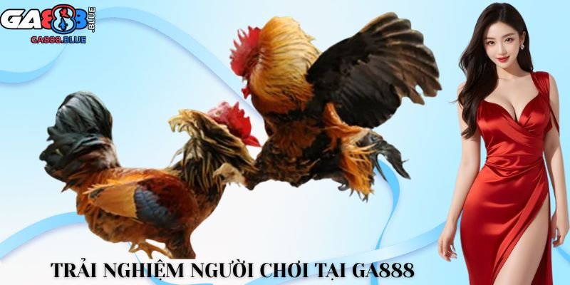 Trải nghiệm người chơi tại GA888